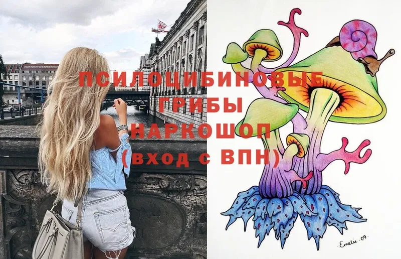 Псилоцибиновые грибы Magic Shrooms  Инсар 